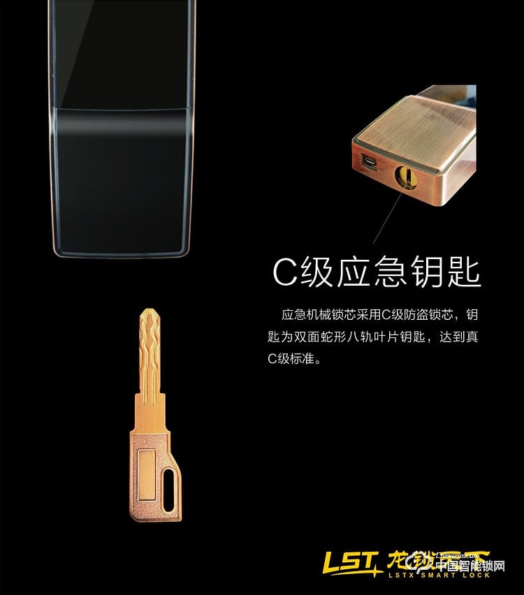 龍鎖天下智能鎖 指紋密碼鎖 防盜智能門(mén)鎖Q5